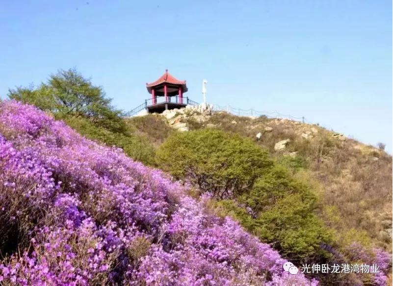 PG电子·(中国)官方网站