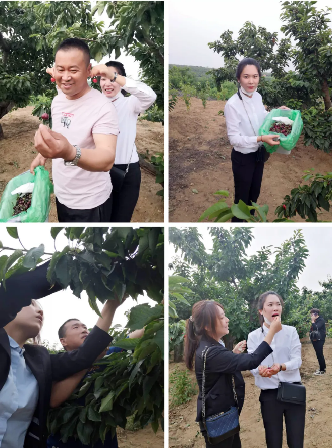 PG电子·(中国)官方网站